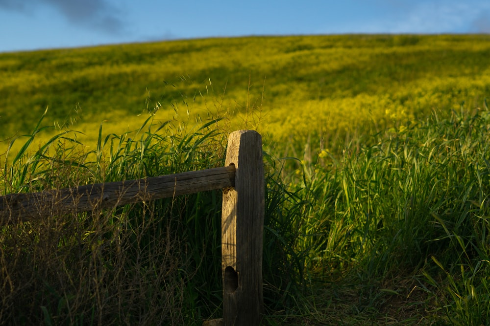a wooden fence sitting in the middle of a lush green field