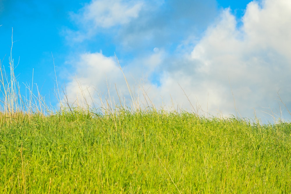 a grassy hill under a cloudy blue sky