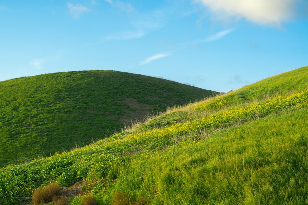 a grassy hill with a blue sky in the background