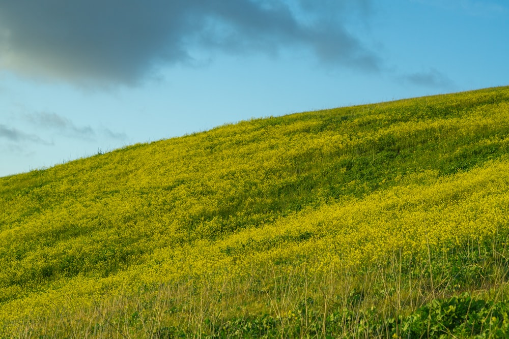 a hill covered in green grass under a cloudy sky