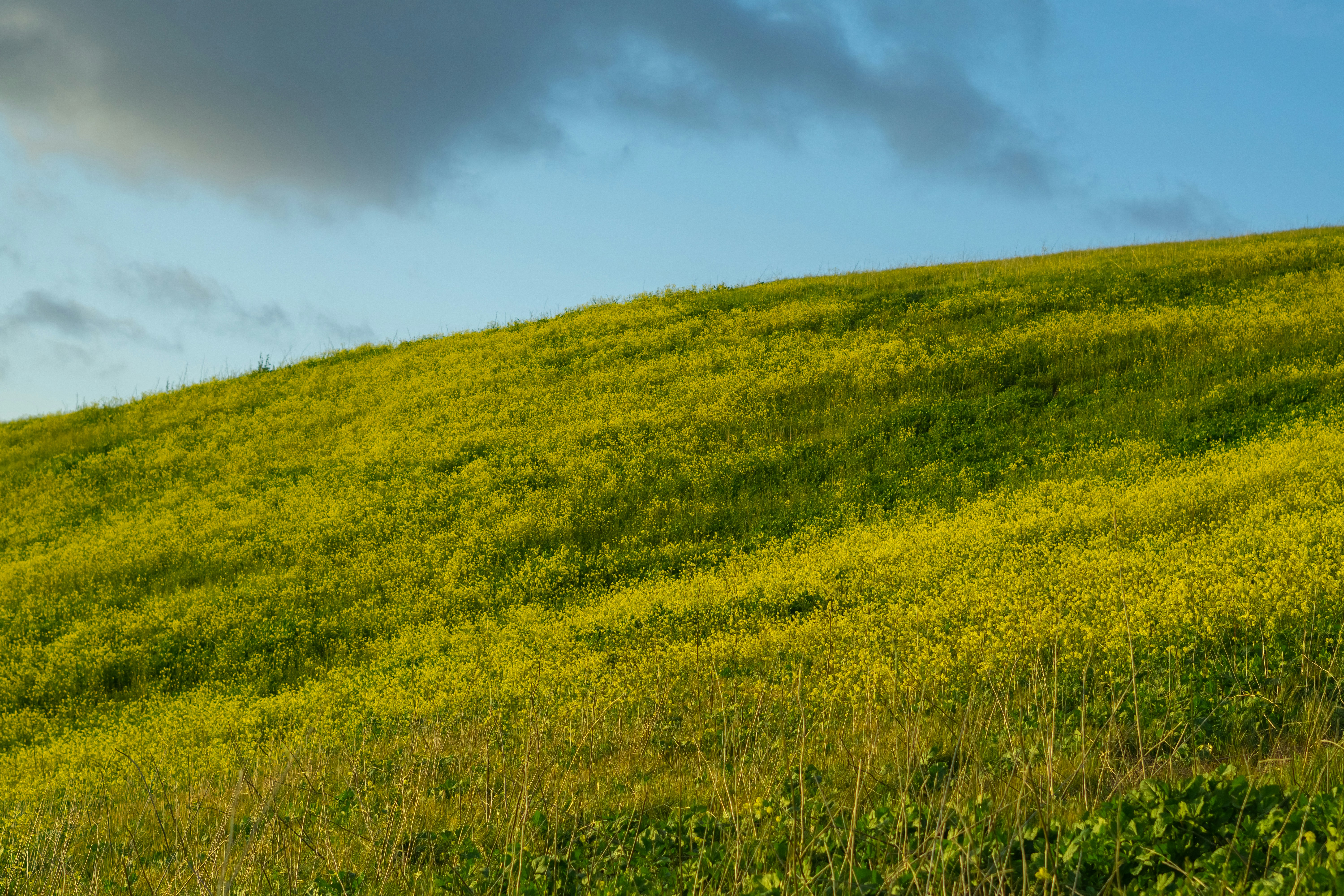 Photo by spencer_demera