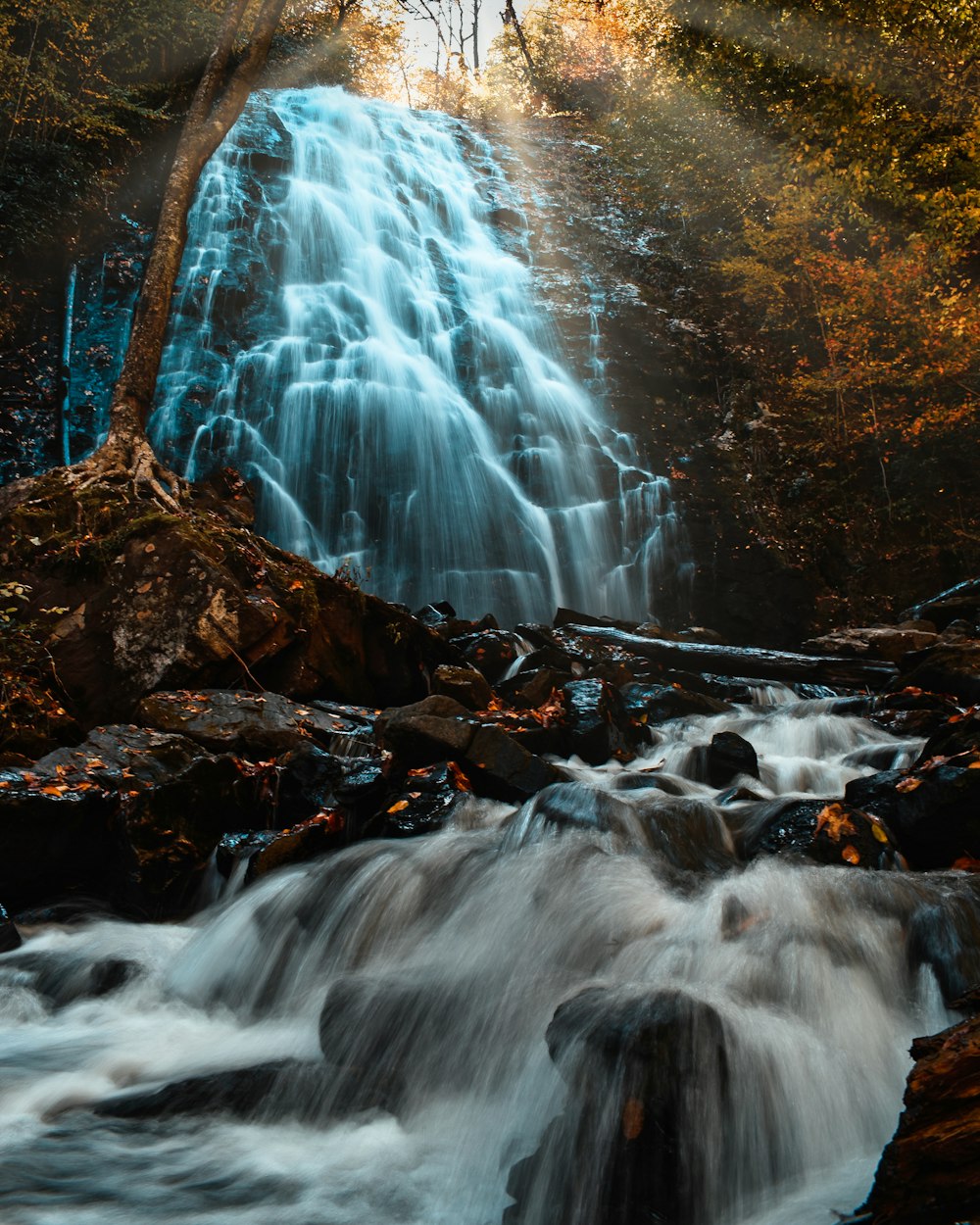 a waterfall in the middle of a forest