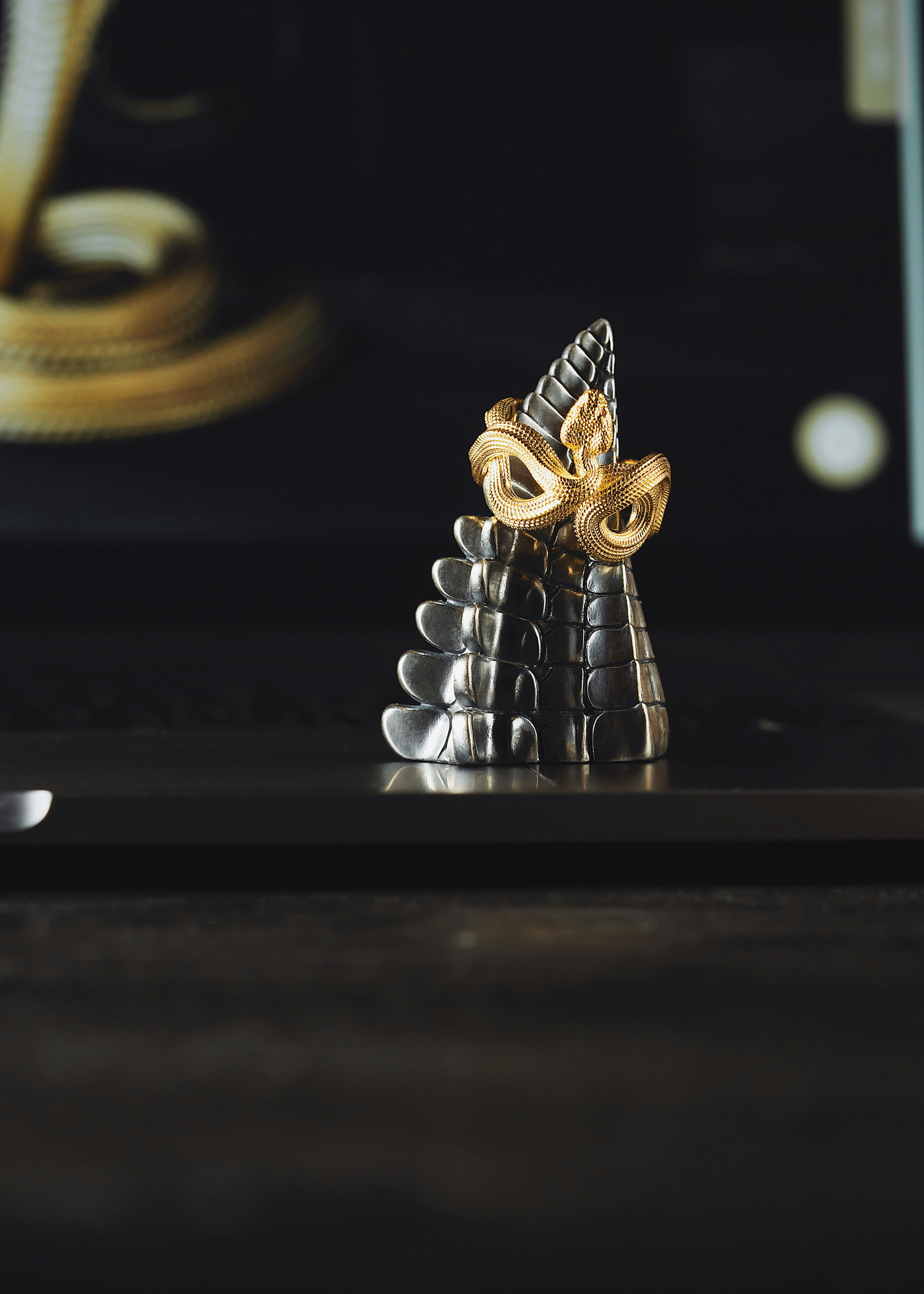 Photo by coppertistwu