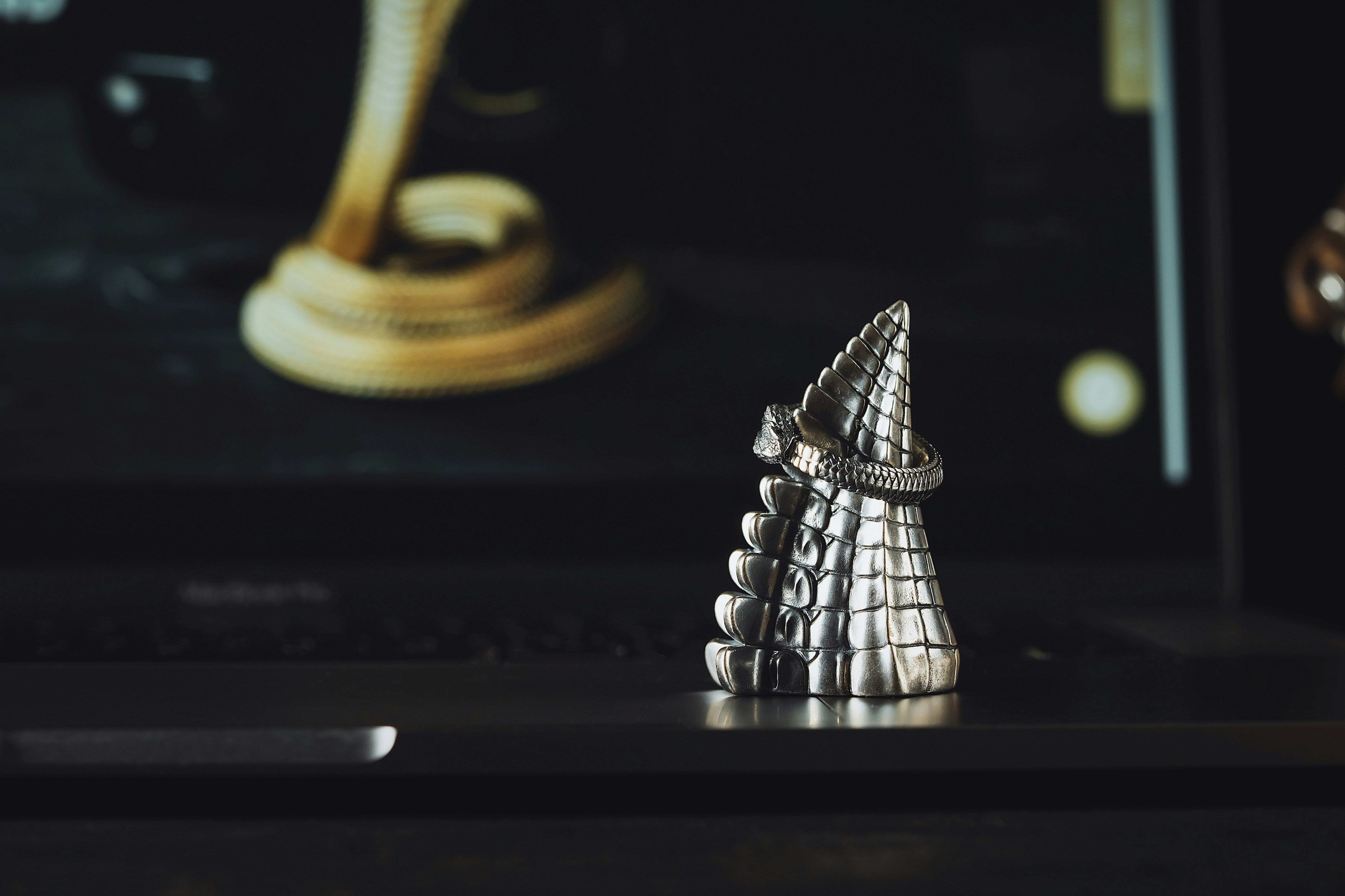 Photo by coppertistwu