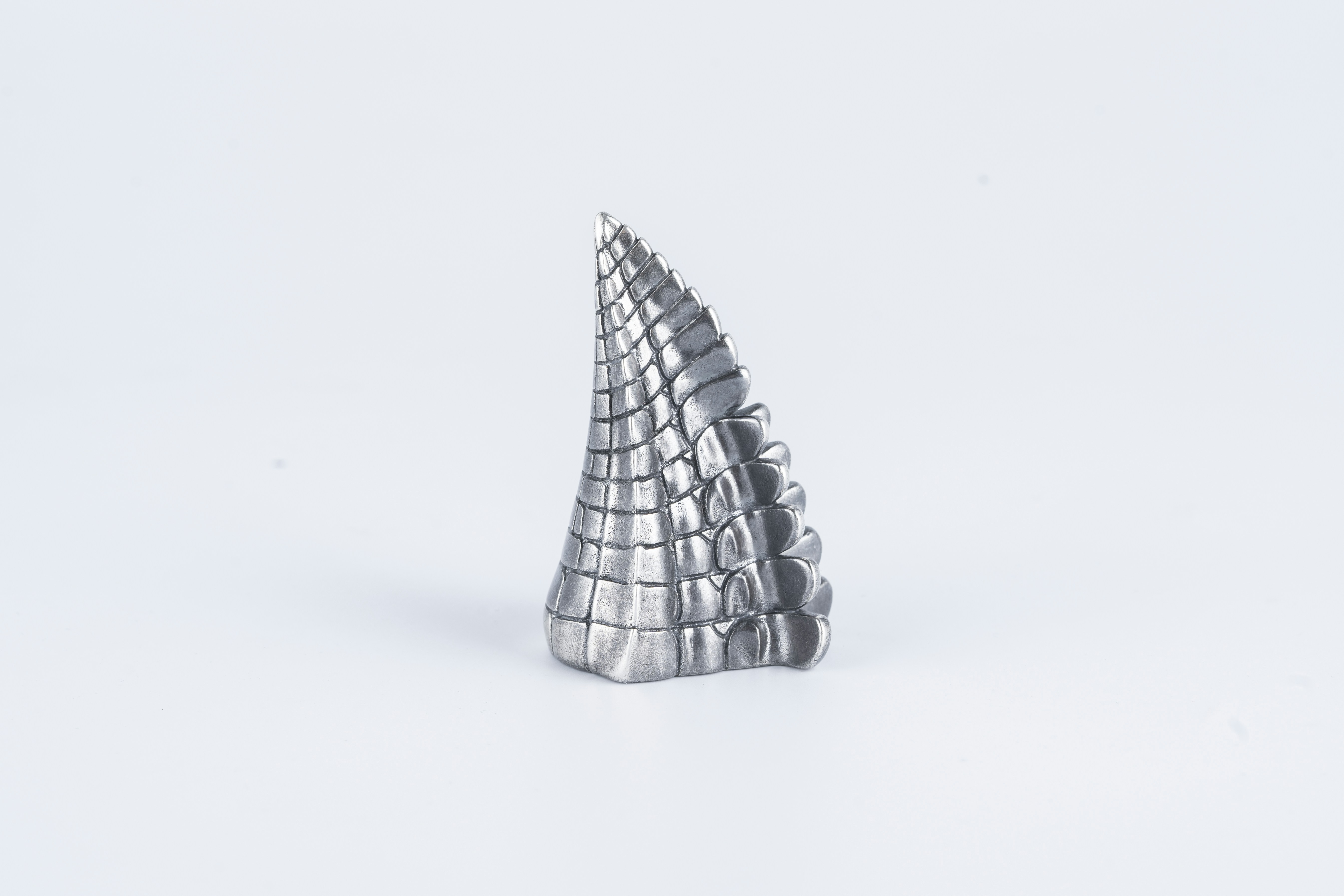 Photo by coppertistwu