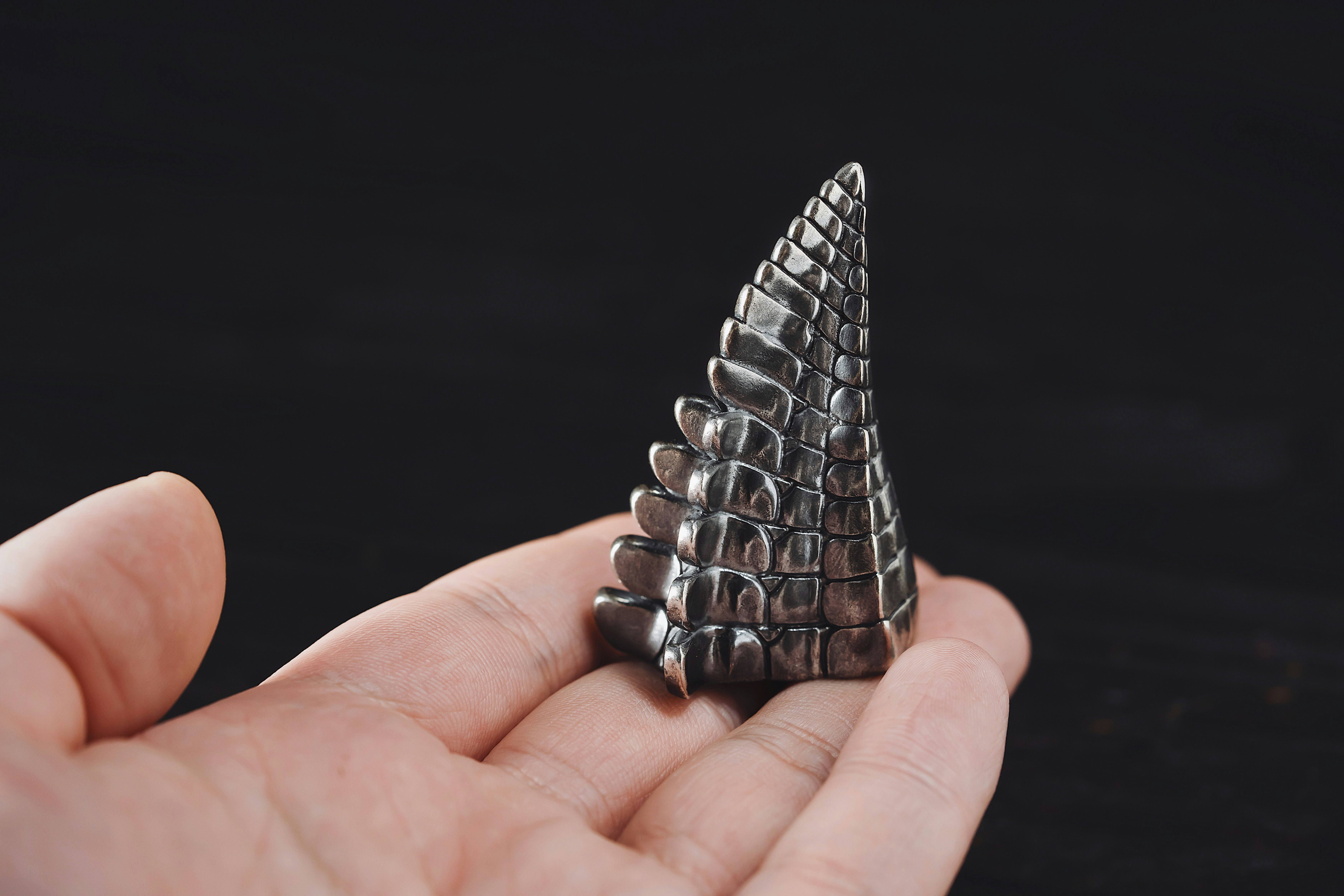 Photo by coppertistwu