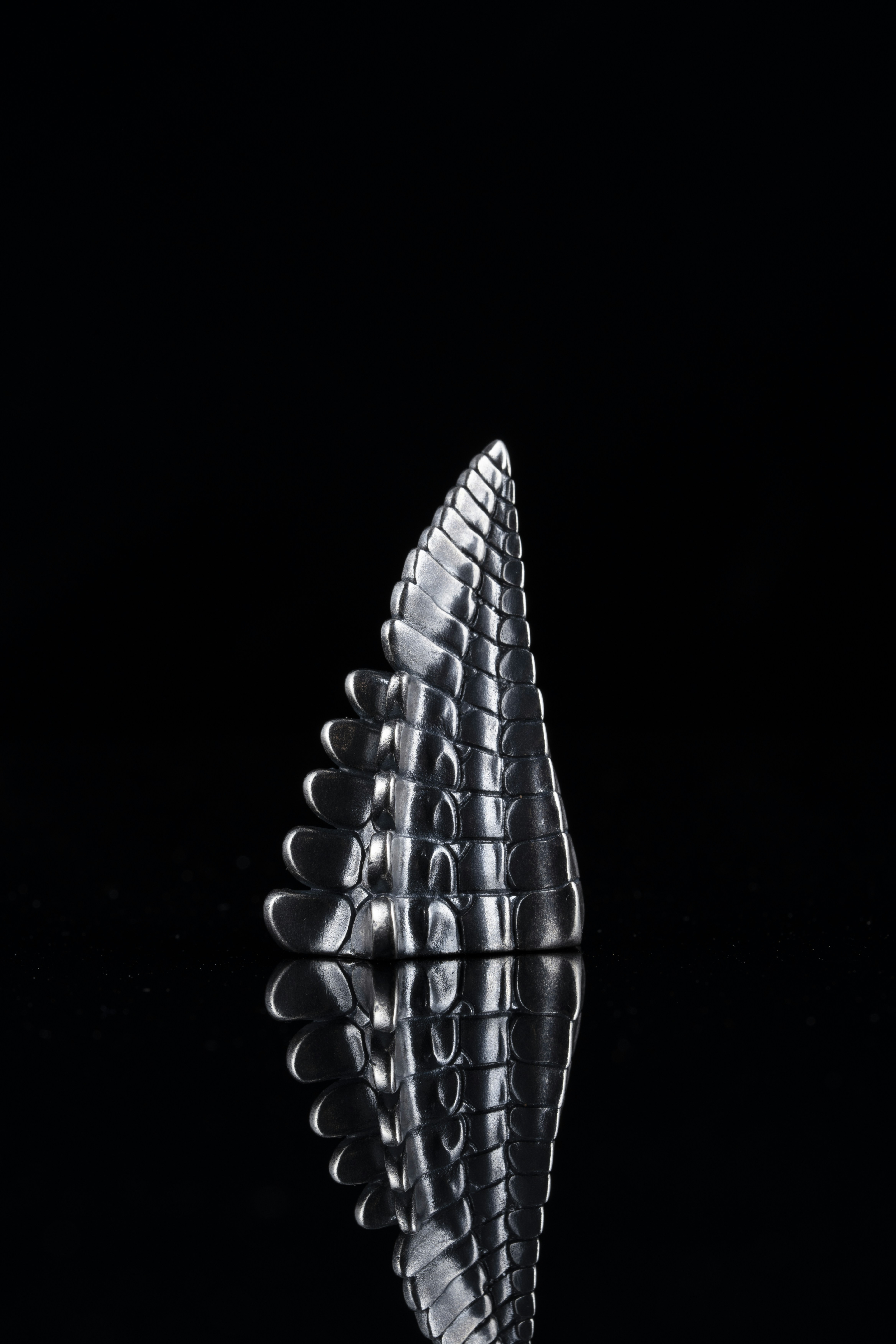 Photo by coppertistwu