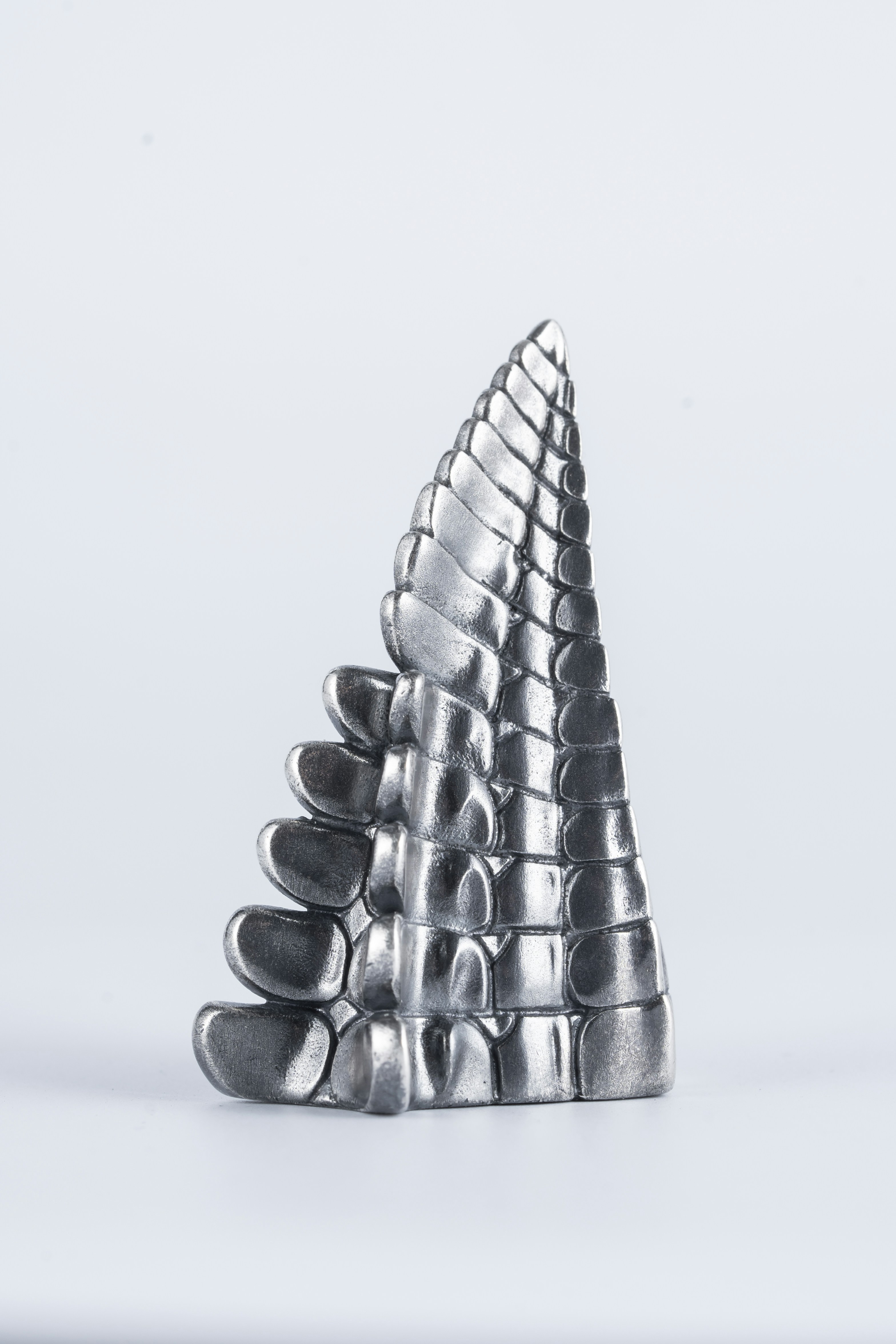 Photo by coppertistwu