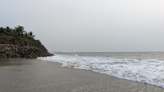 Coastal view of a serene beach in Lombok with gentle waves and palm trees.