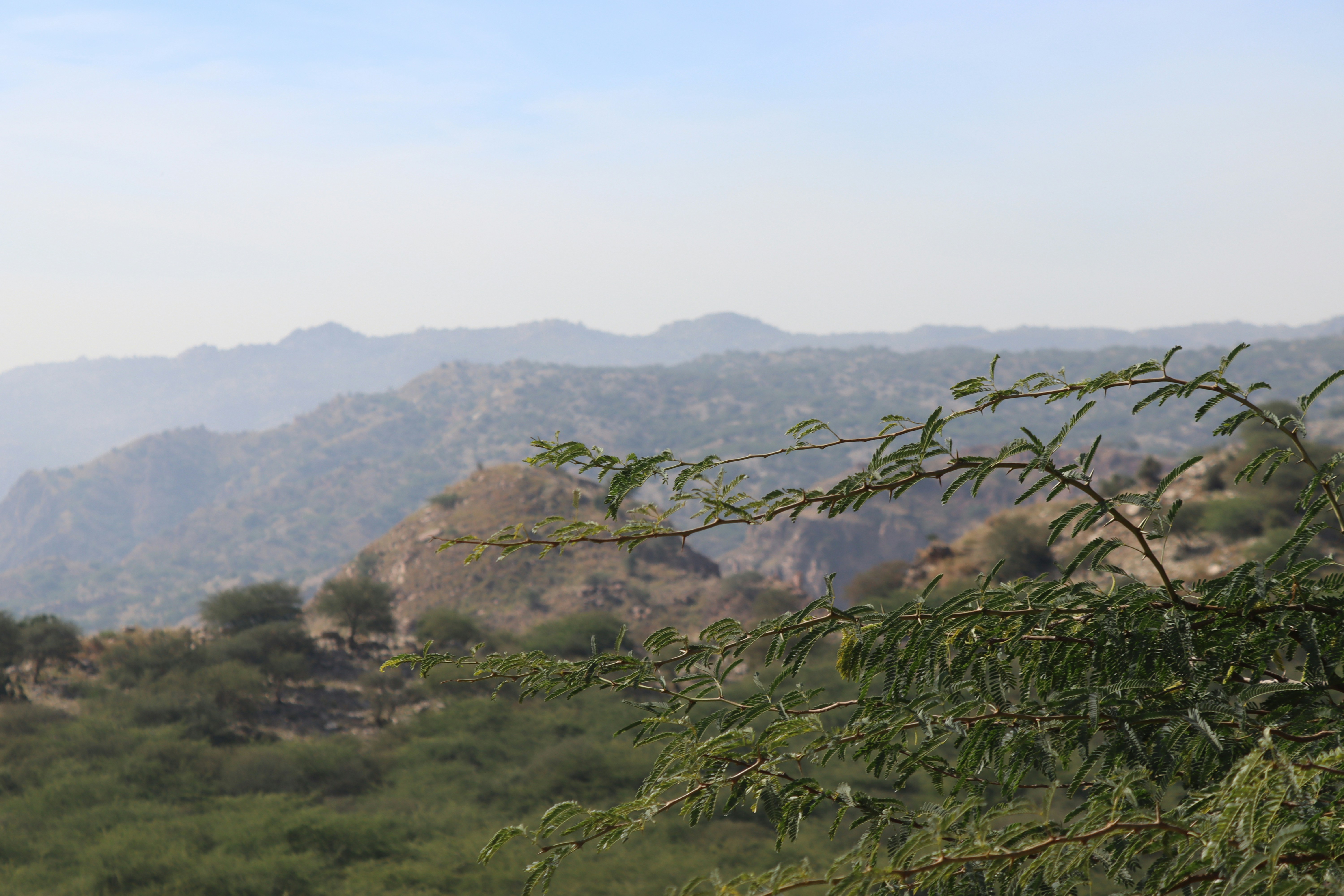 Photo by drphotographer152