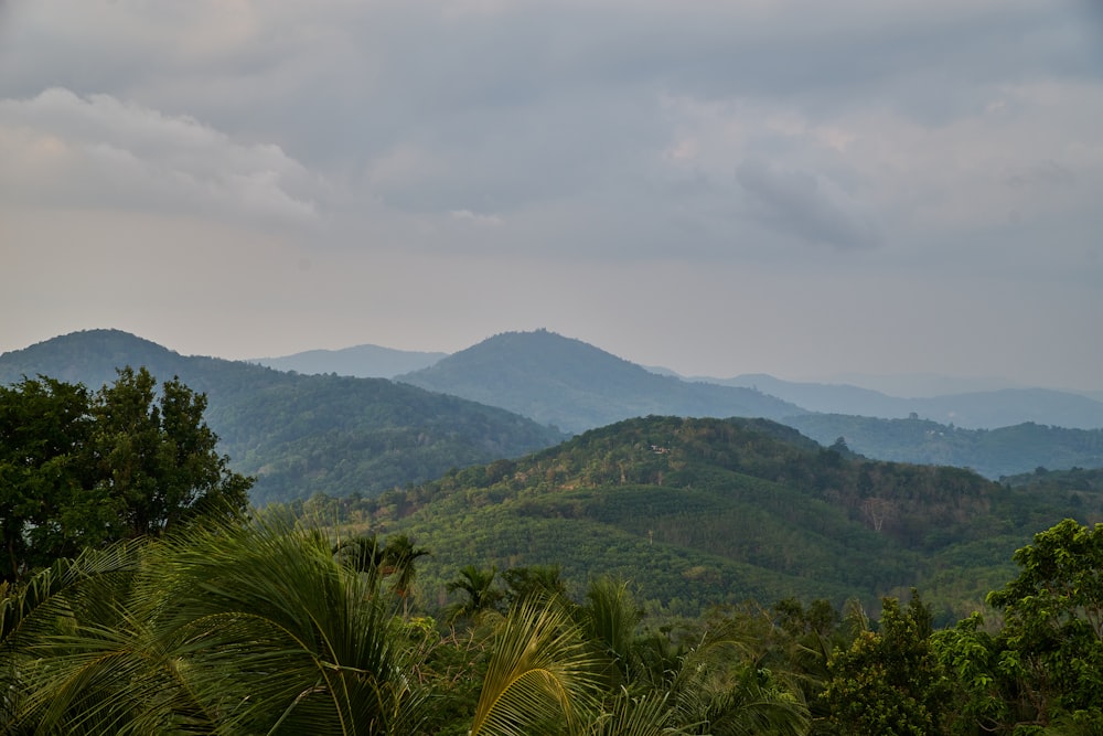 une vue d’une chaîne de montagnes avec des arbres au premier plan