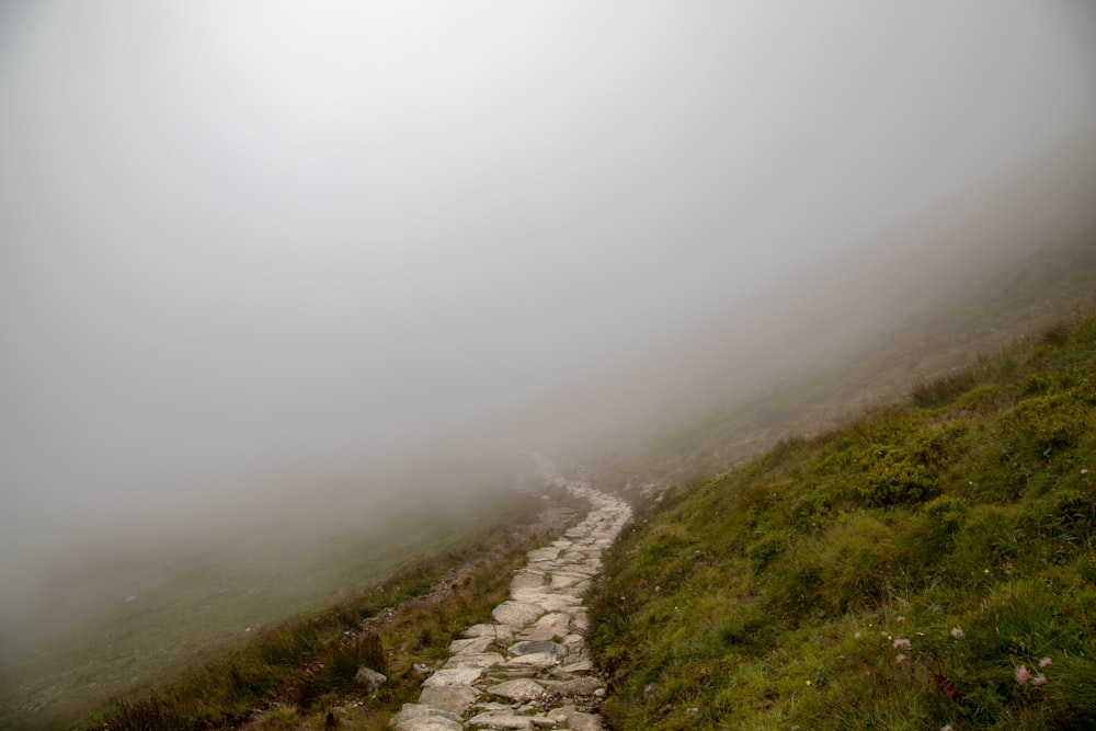 a foggy path on a grassy hill