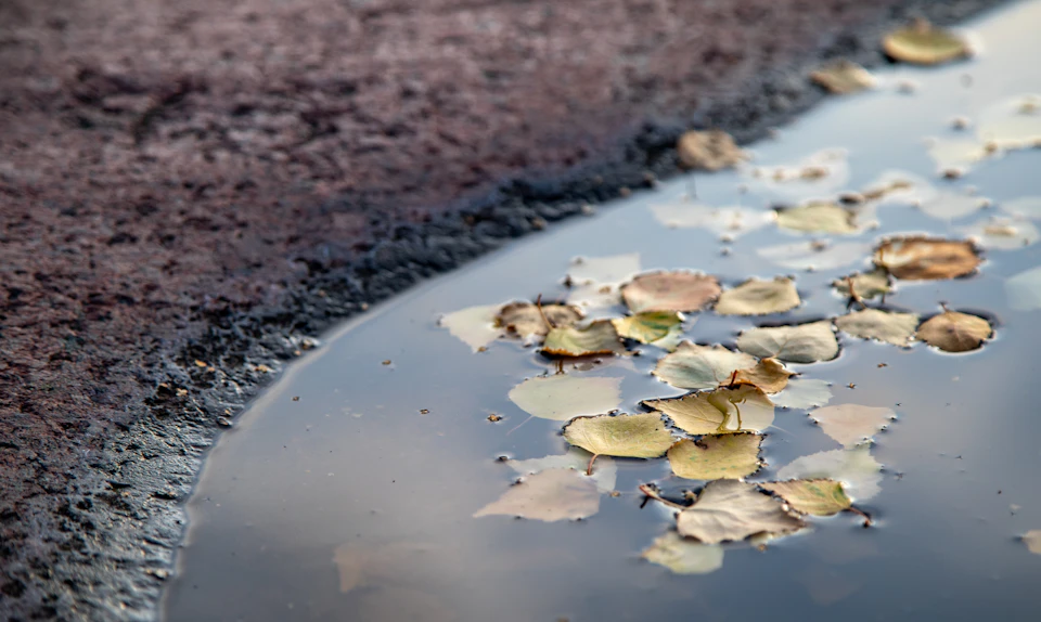 The image shows a puddle of water on a brown surface, with several fallen leaves scattered around it. The leaves are predominantly yellow and green, indicating that they have likely fallen from nearby trees or plants during autumn. The perspective of the photo is taken from above, providing an overview of the scene.