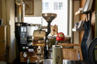 Best Specialty Coffee Roasters in Gandikota for Serious Coffee Drinkers