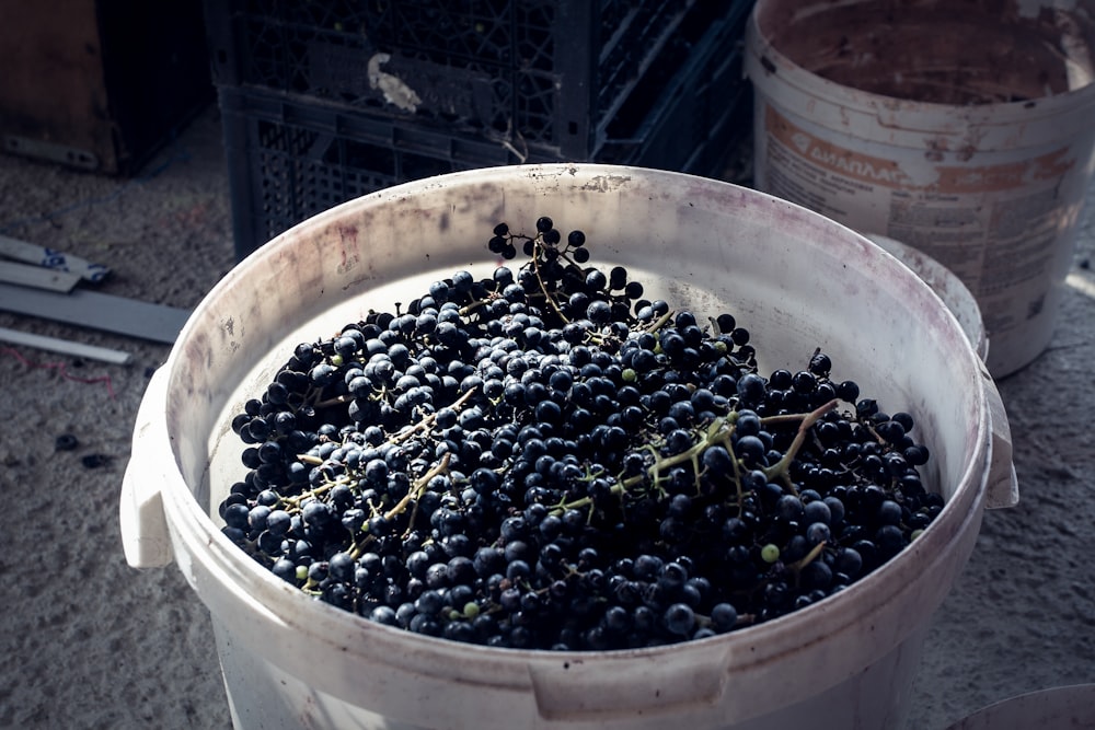 a bucket full of blueberries sitting on the ground