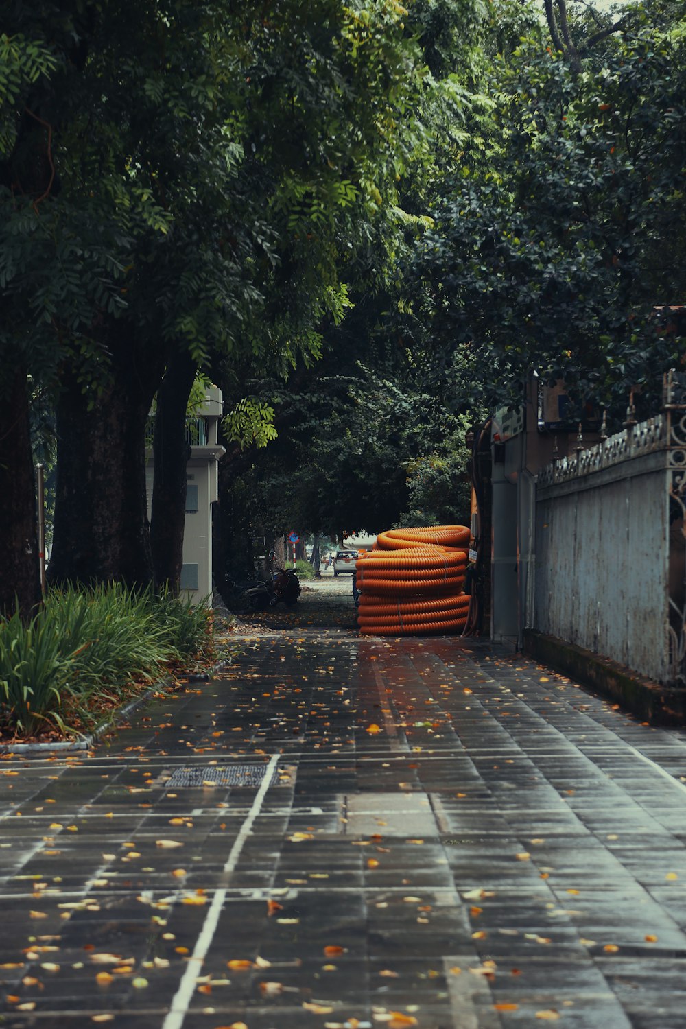 a street lined with lots of trees next to a fence