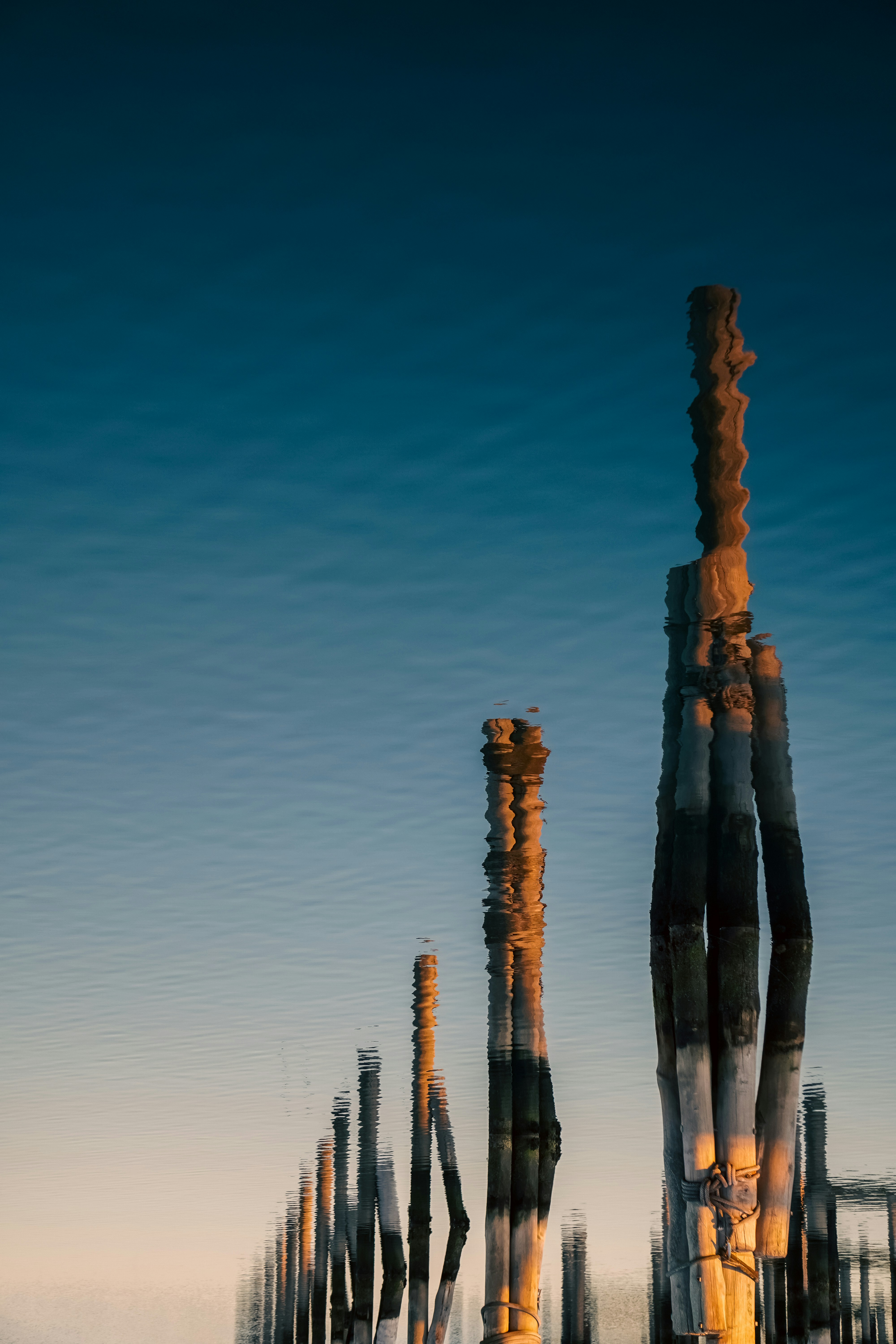 Containers in Forks of Salmon, CA