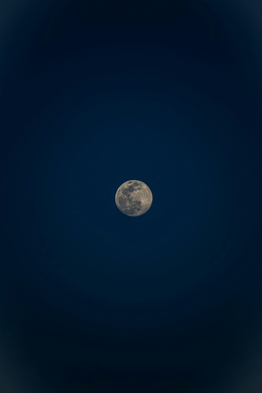 a full moon is seen in the night sky