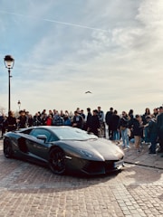 A sleek sports car parked beside a famous influencer during a sunny day.