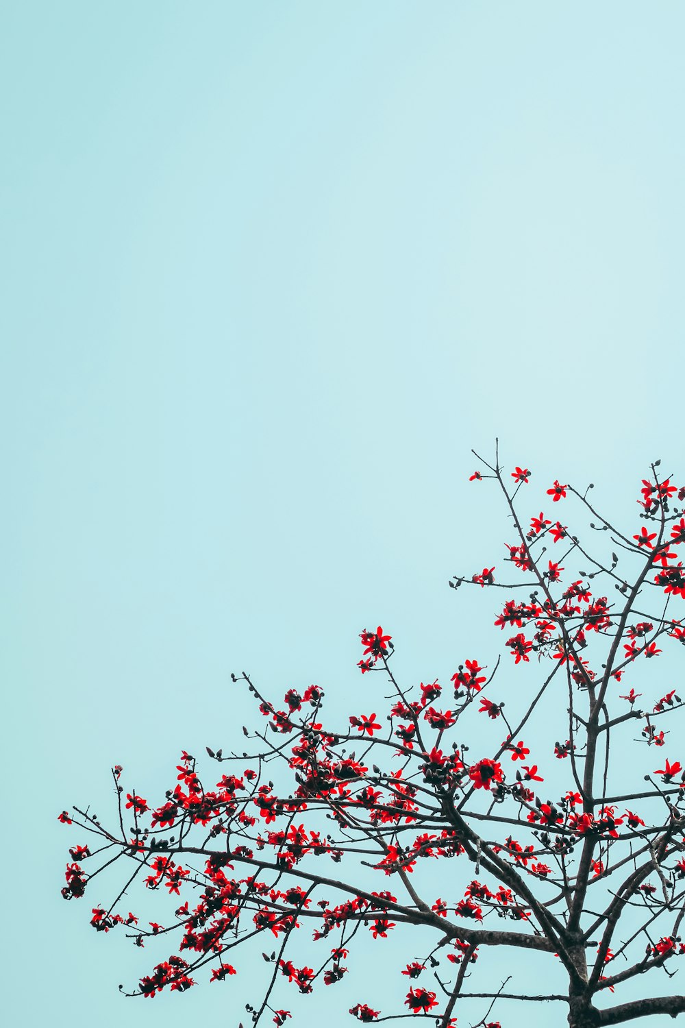 a bird sitting on top of a tree with red flowers