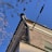A corner of a brick building is seen with a drainpipe extending from the roof, partially covered with icicles. Surrounding the pipe are bare tree branches and overhead cables. The sky is clear and blue.