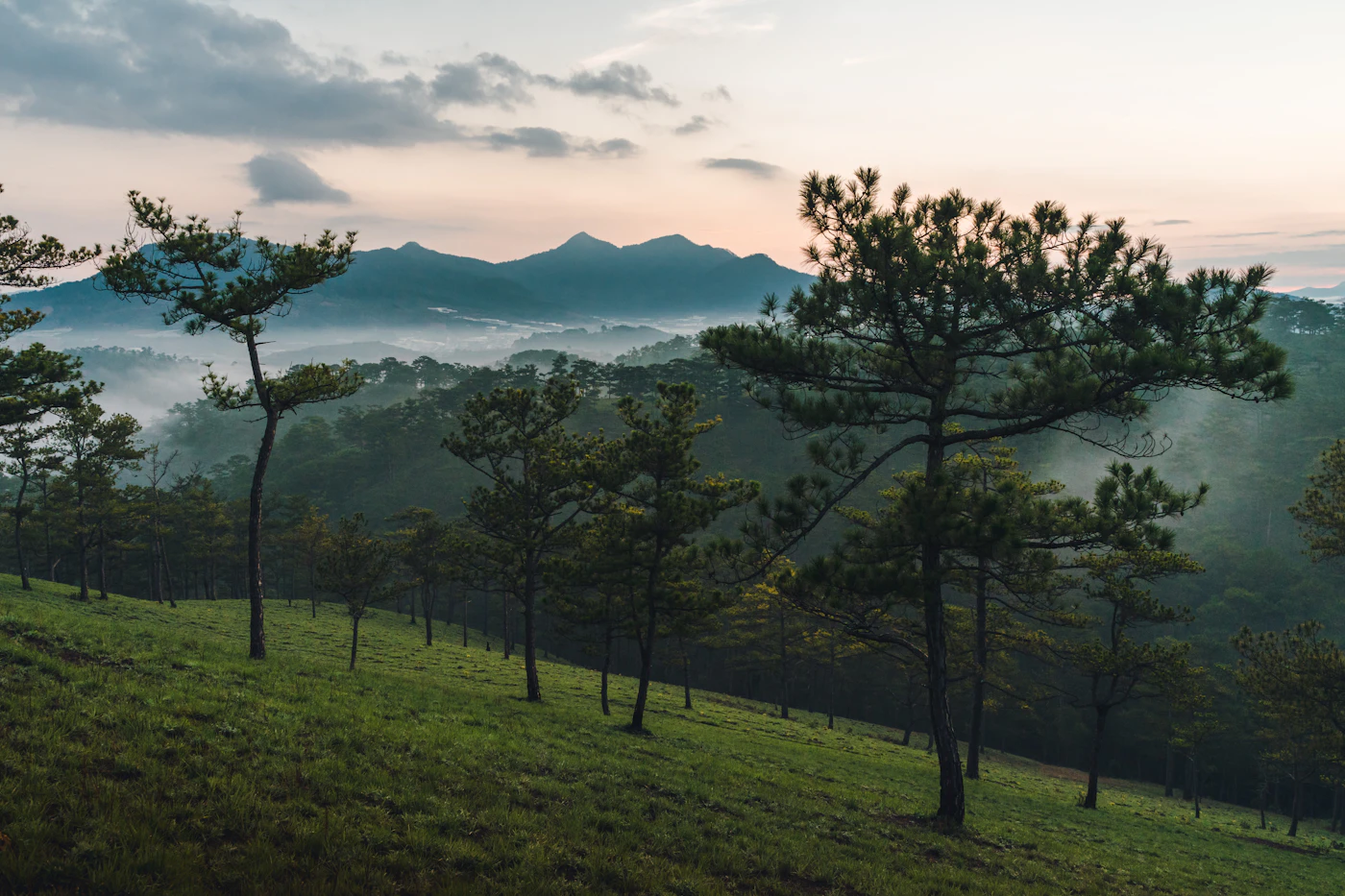 Dalat