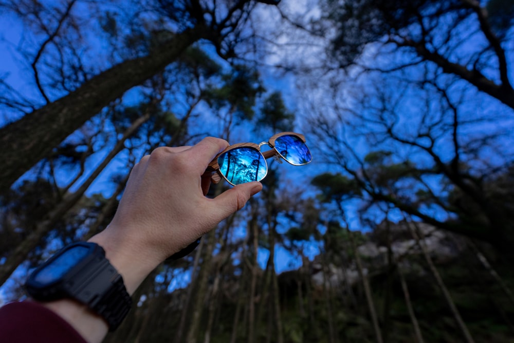 a hand holding a pair of sunglasses with trees in the background