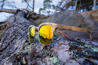 PolarX One sunglasses in cool green color perched on a backpack during a forest hike