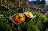 A pair of wooden-frame sunglasses with vibrant orange reflective lenses rests on lush, green moss. The reflection in the lenses suggests an outdoor setting, possibly reflecting trees or a forest canopy, creating a natural and organic feel.