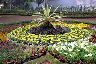A beautifully arranged flower garden with vibrant colors under the Saudi sun