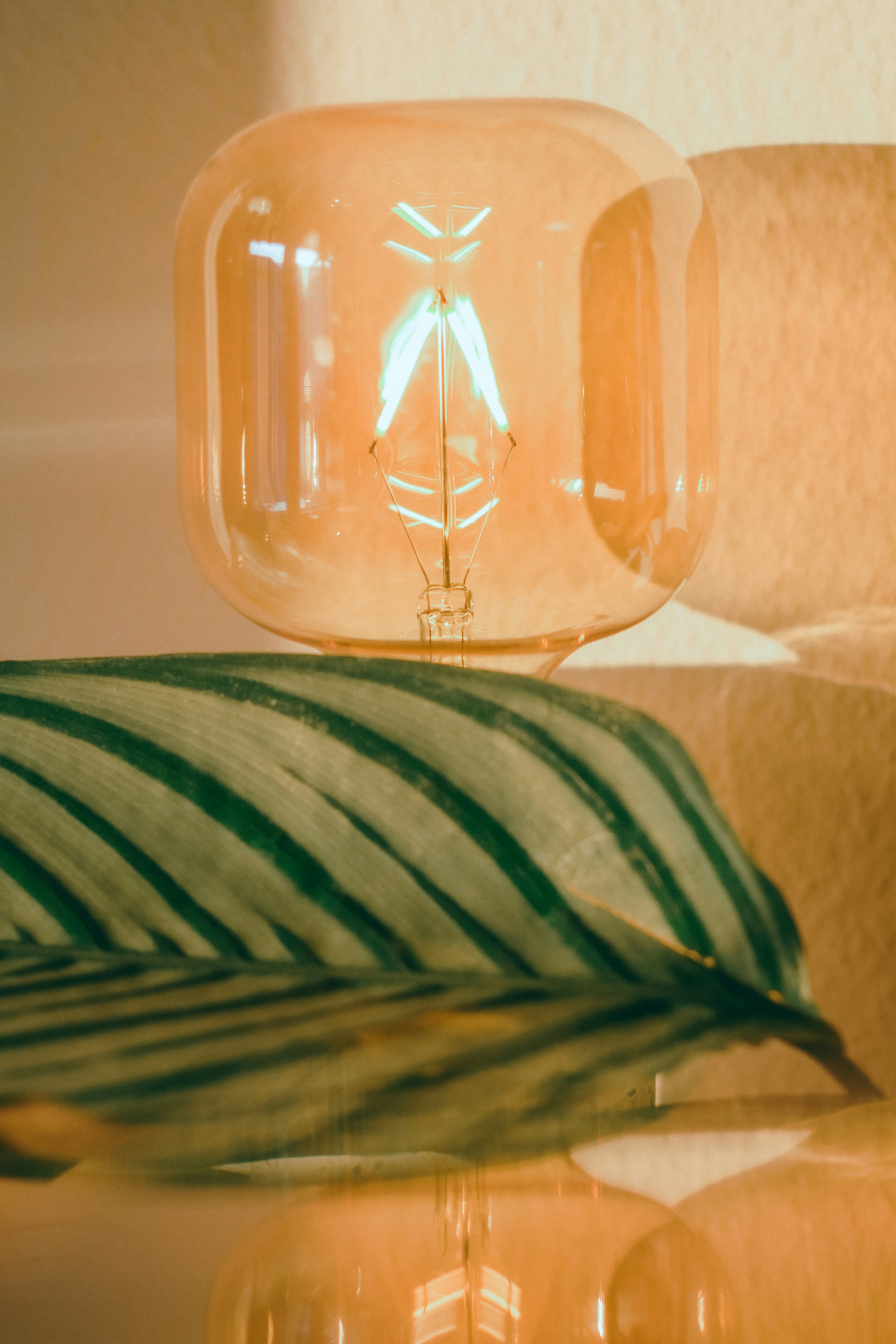 テーブルの上に座っている電球