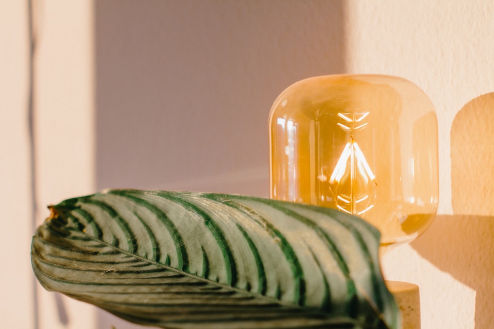 a close up of a green leaf near a light fixture