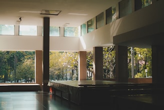 Sunlight filters through floor-to-ceiling windows onto a serene tai chi practice space with polished wood floors and minimalist decor.
