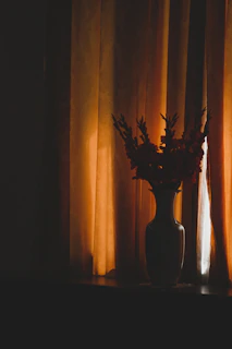 A cozy corner with a handmade ceramic vase holding wildflowers, bathed in soft afternoon light.