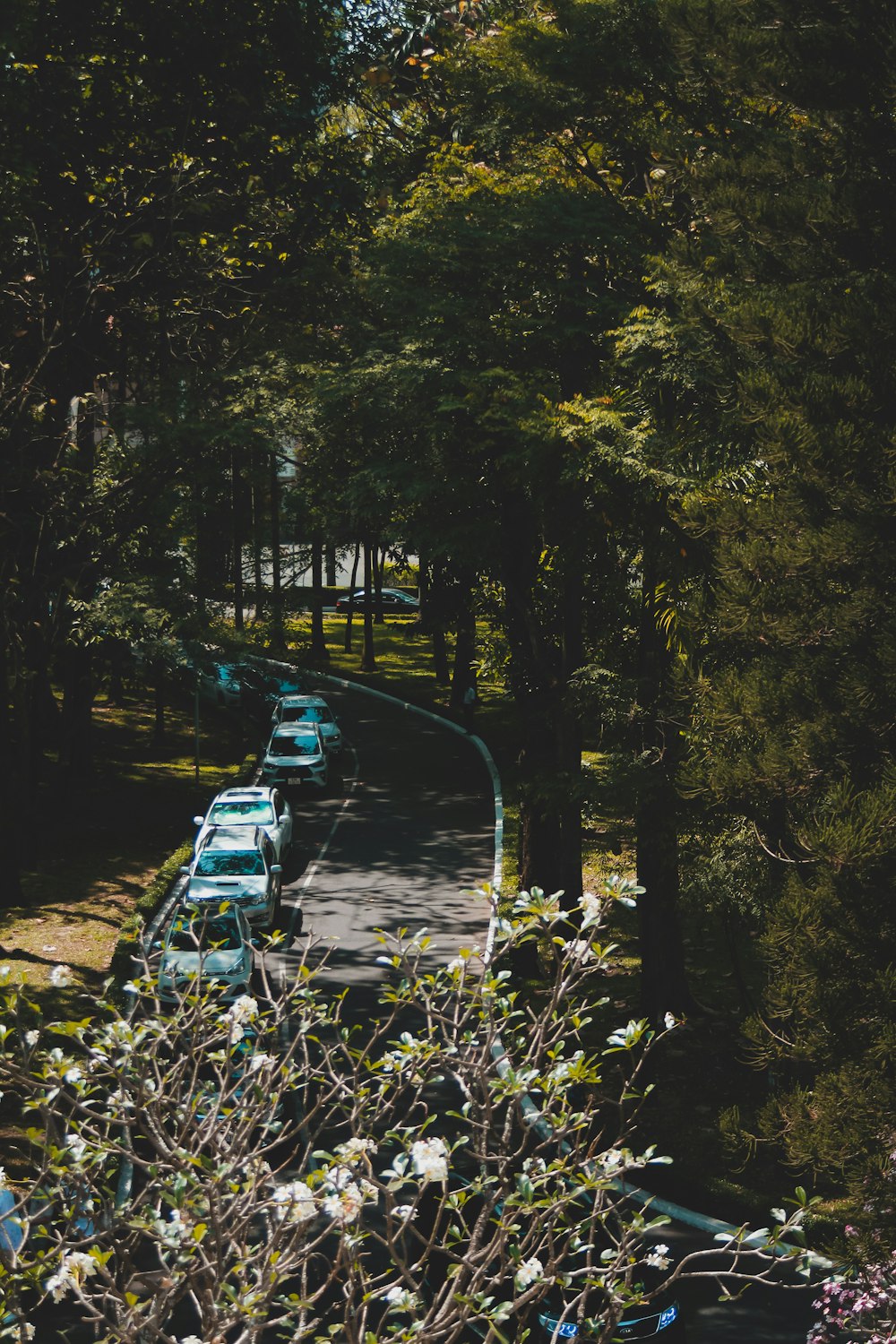 a row of parked cars sitting on the side of a road