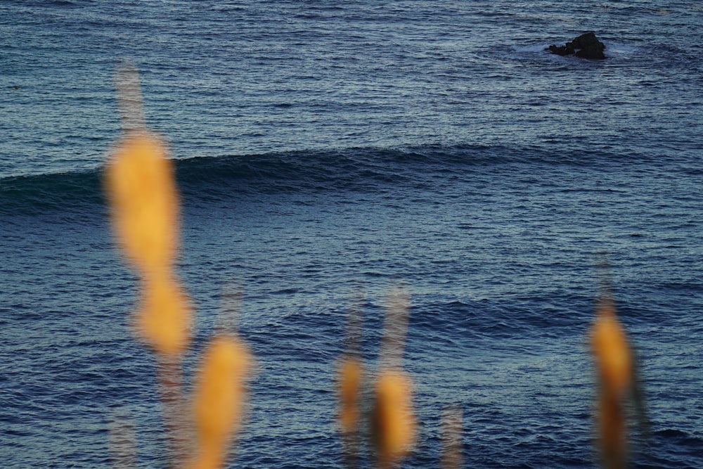 a person riding a surfboard on a wave in the ocean