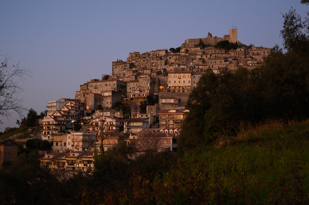 a hill that has a bunch of buildings on it