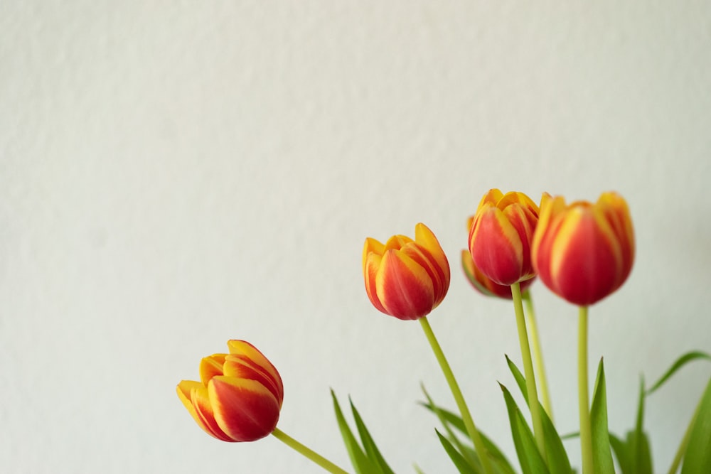 a group of orange and yellow tulips in a vase