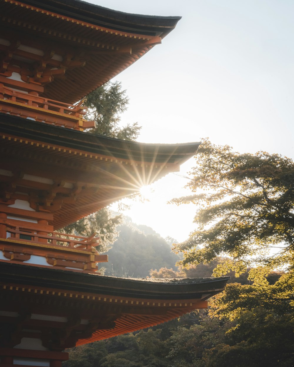 the sun shines through the trees in front of a pagoda