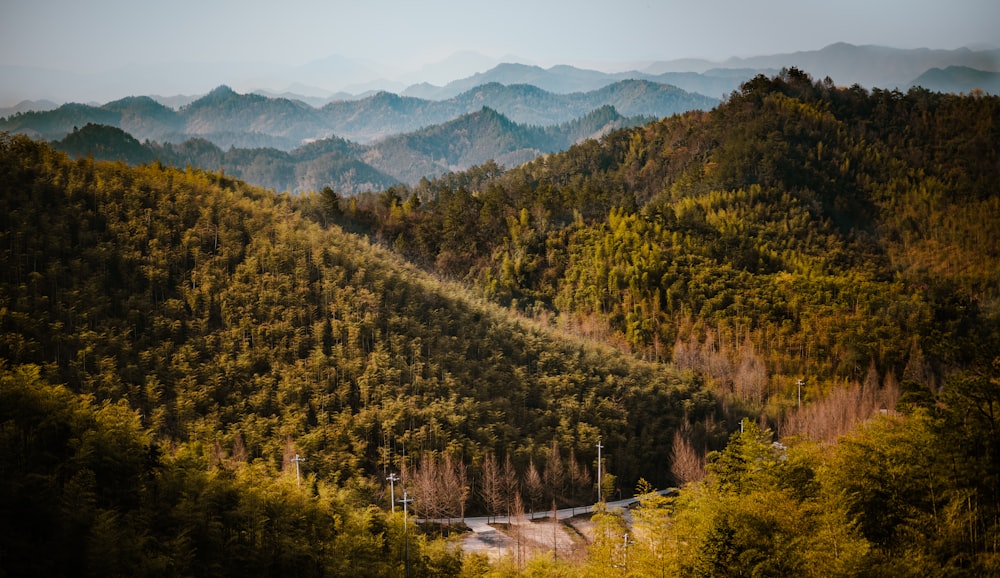 a scenic view of a forest with mountains in the background
