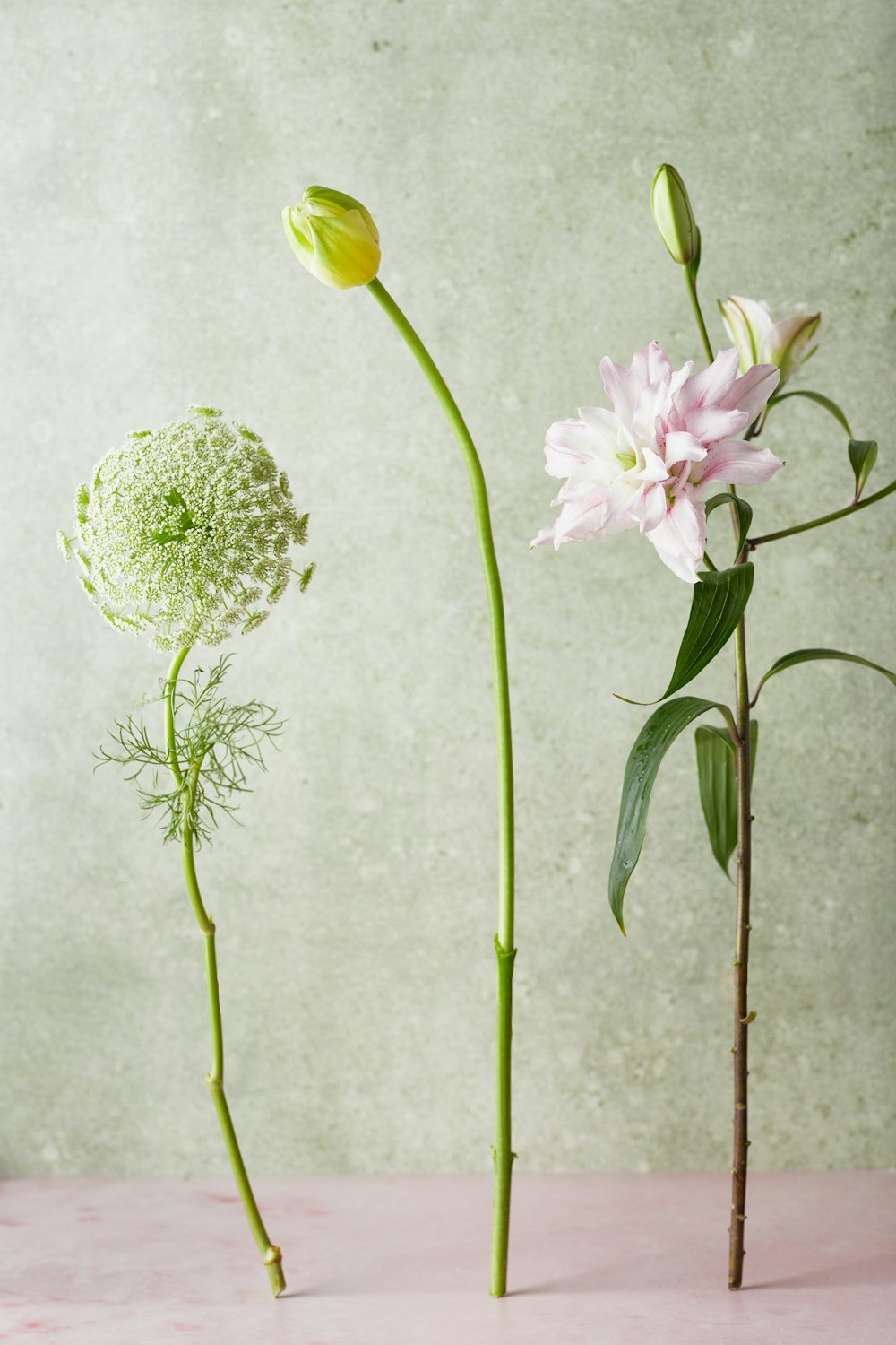 a couple of flowers that are on a table