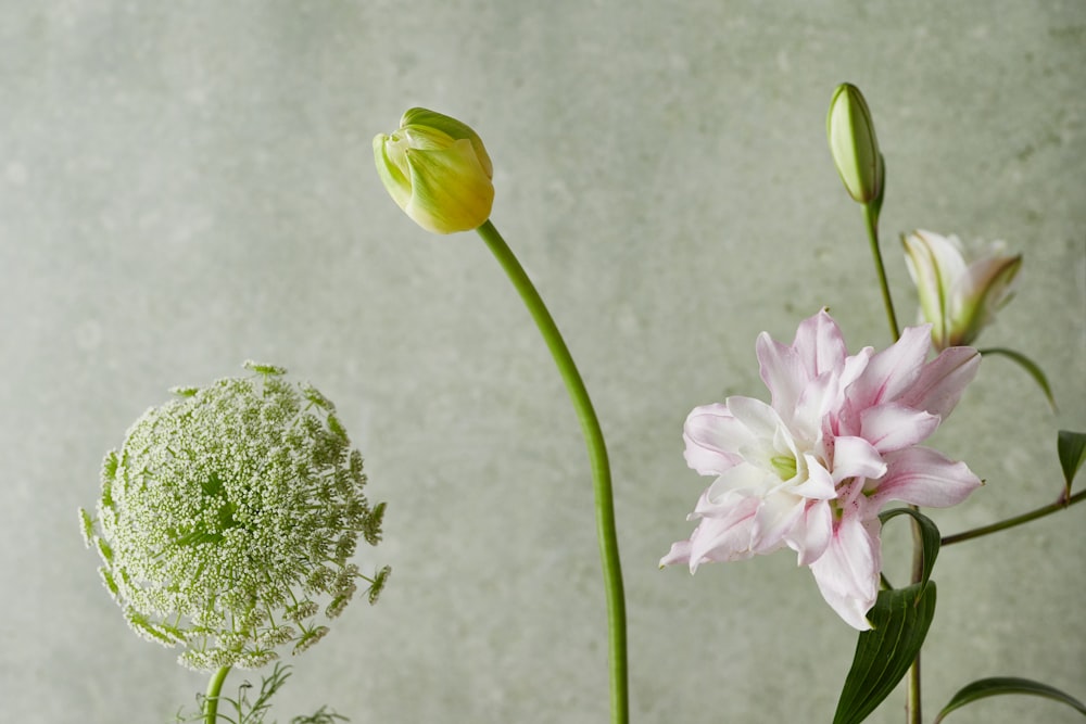 a couple of flowers that are in a vase