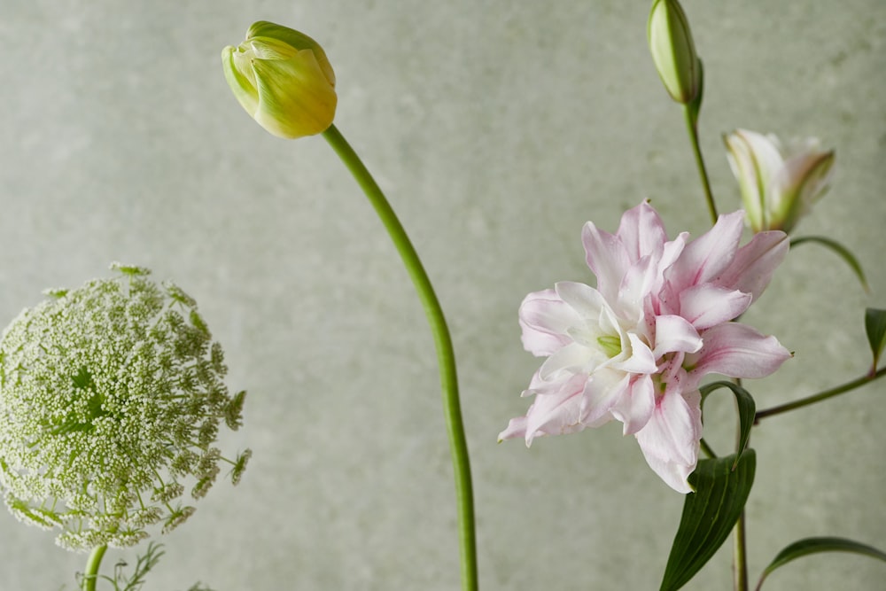 a couple of flowers that are in a vase