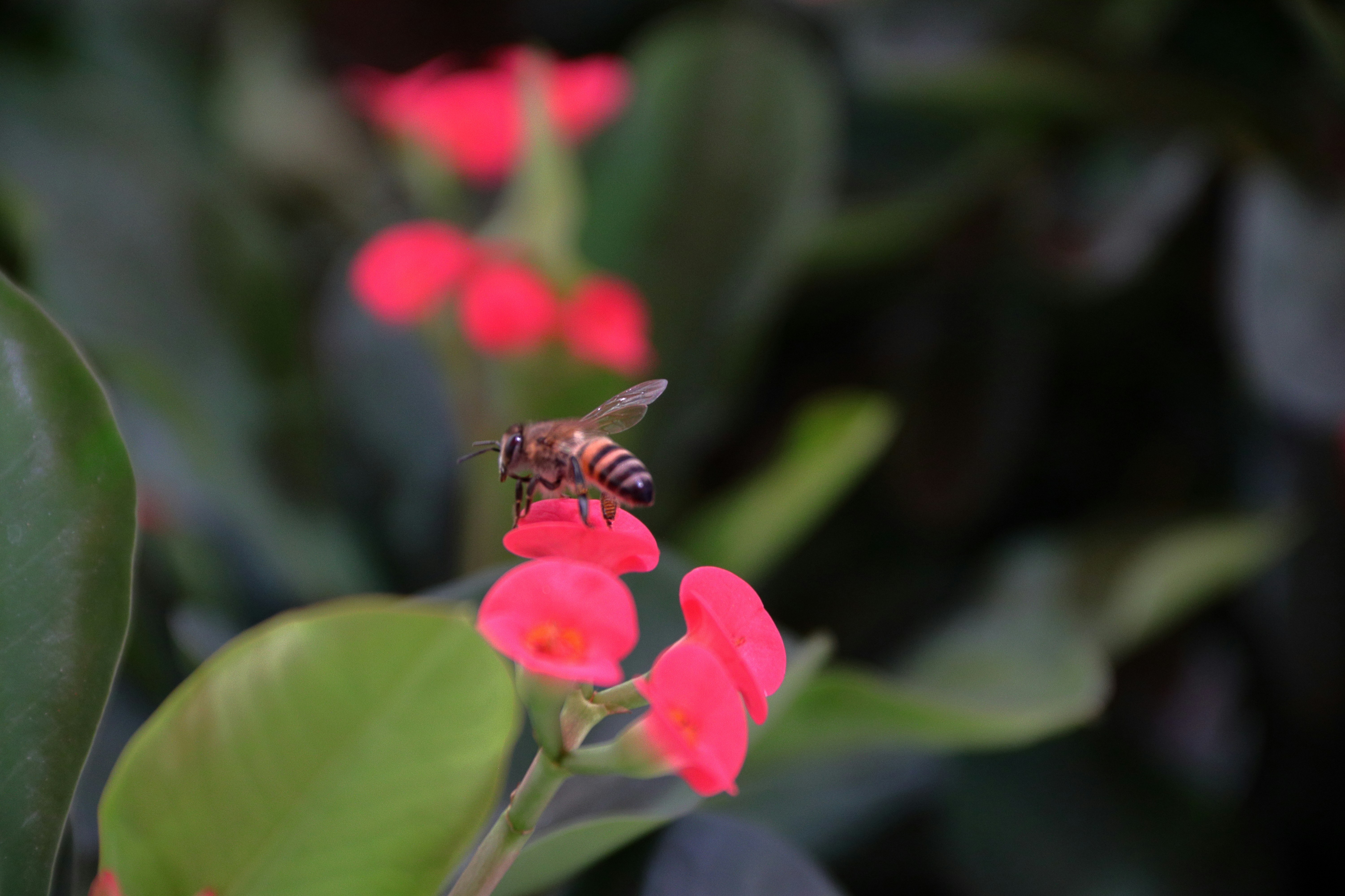 Photo by m4dluc4