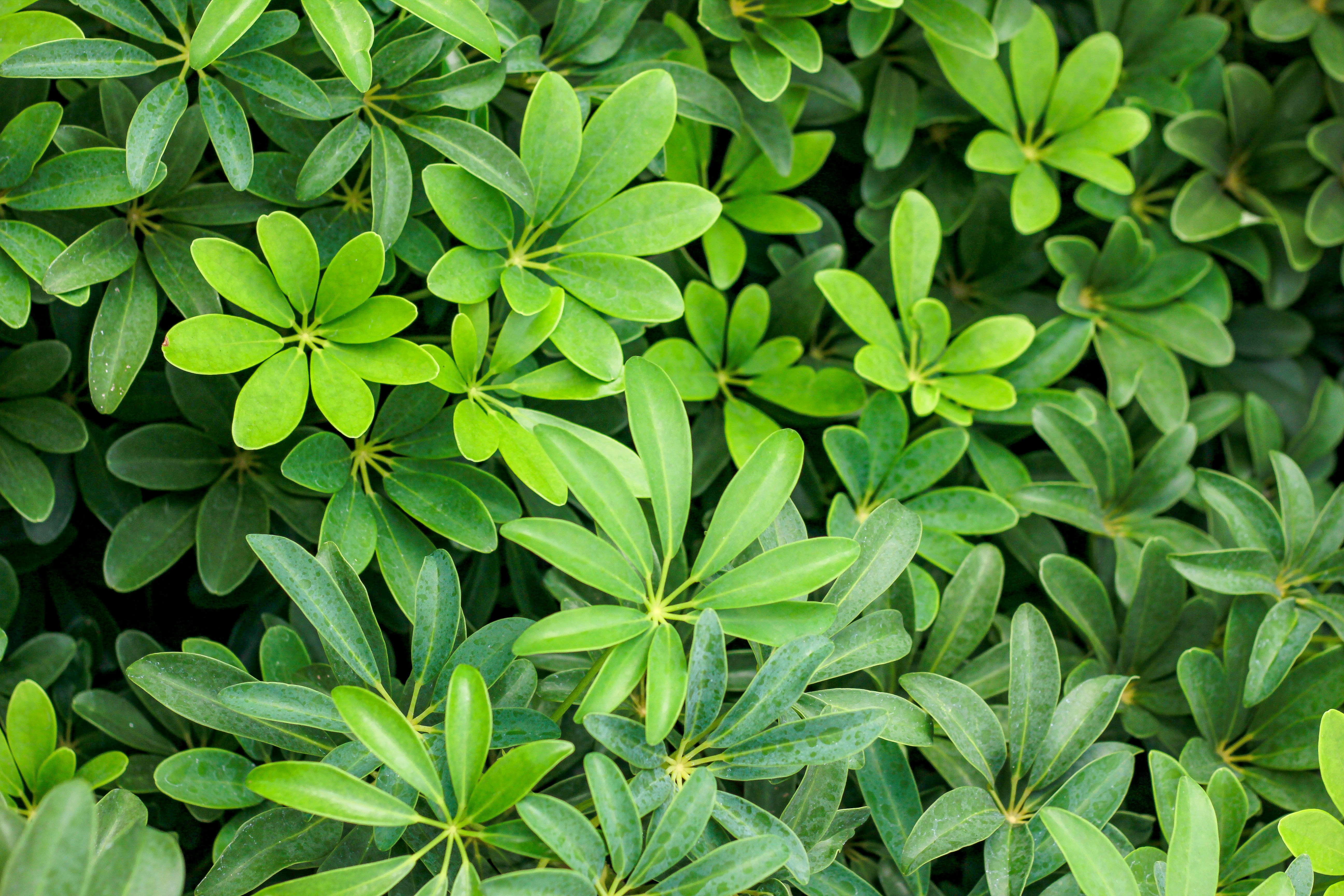 Photo by rickyrynselo