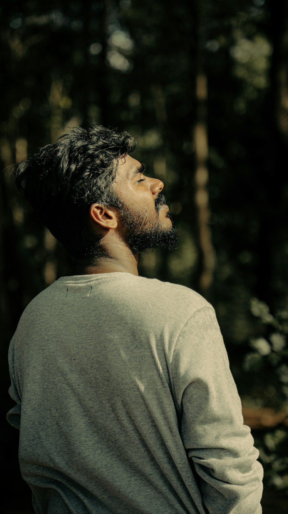 a man standing in the woods looking up