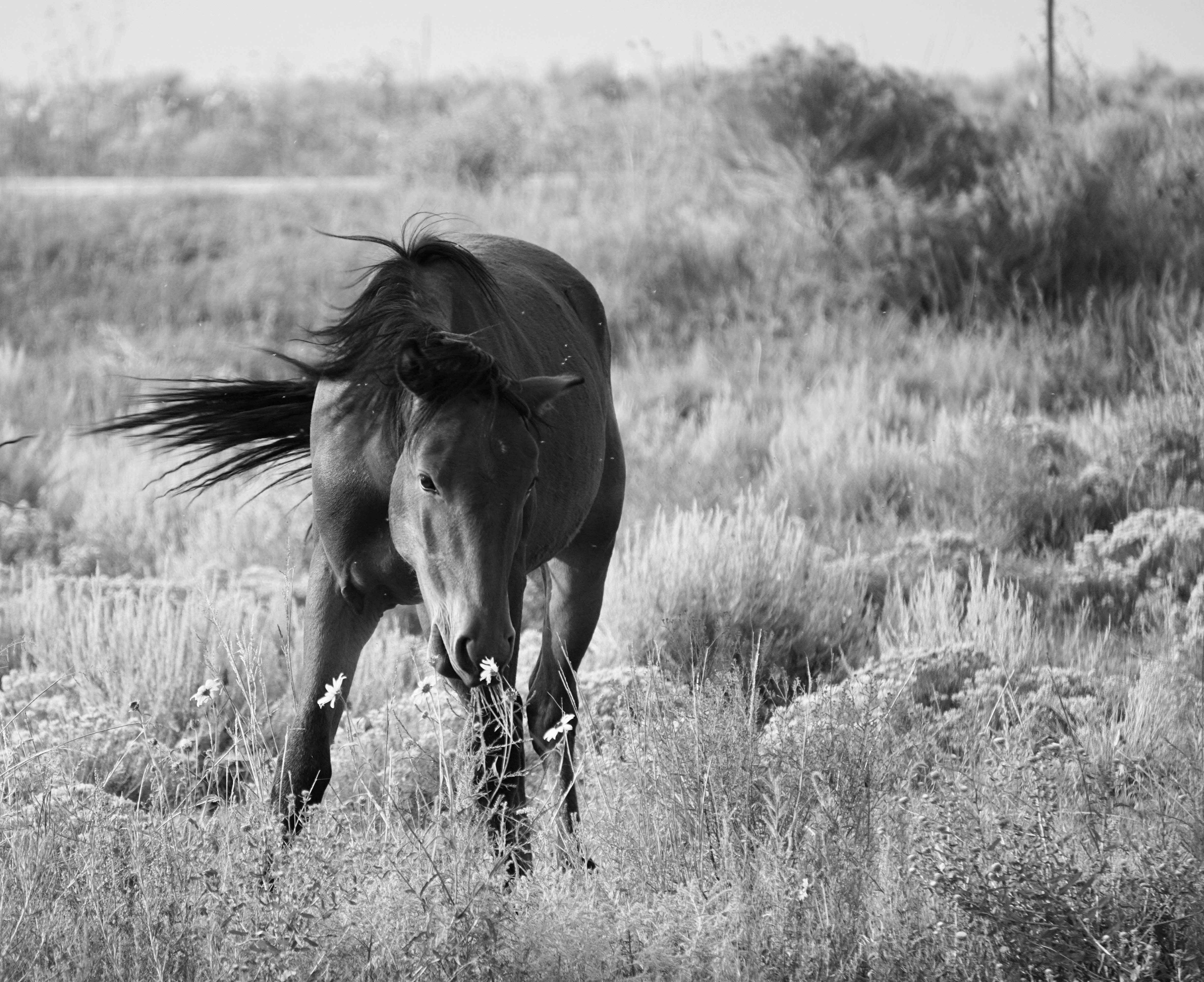 Photo by cowilderness