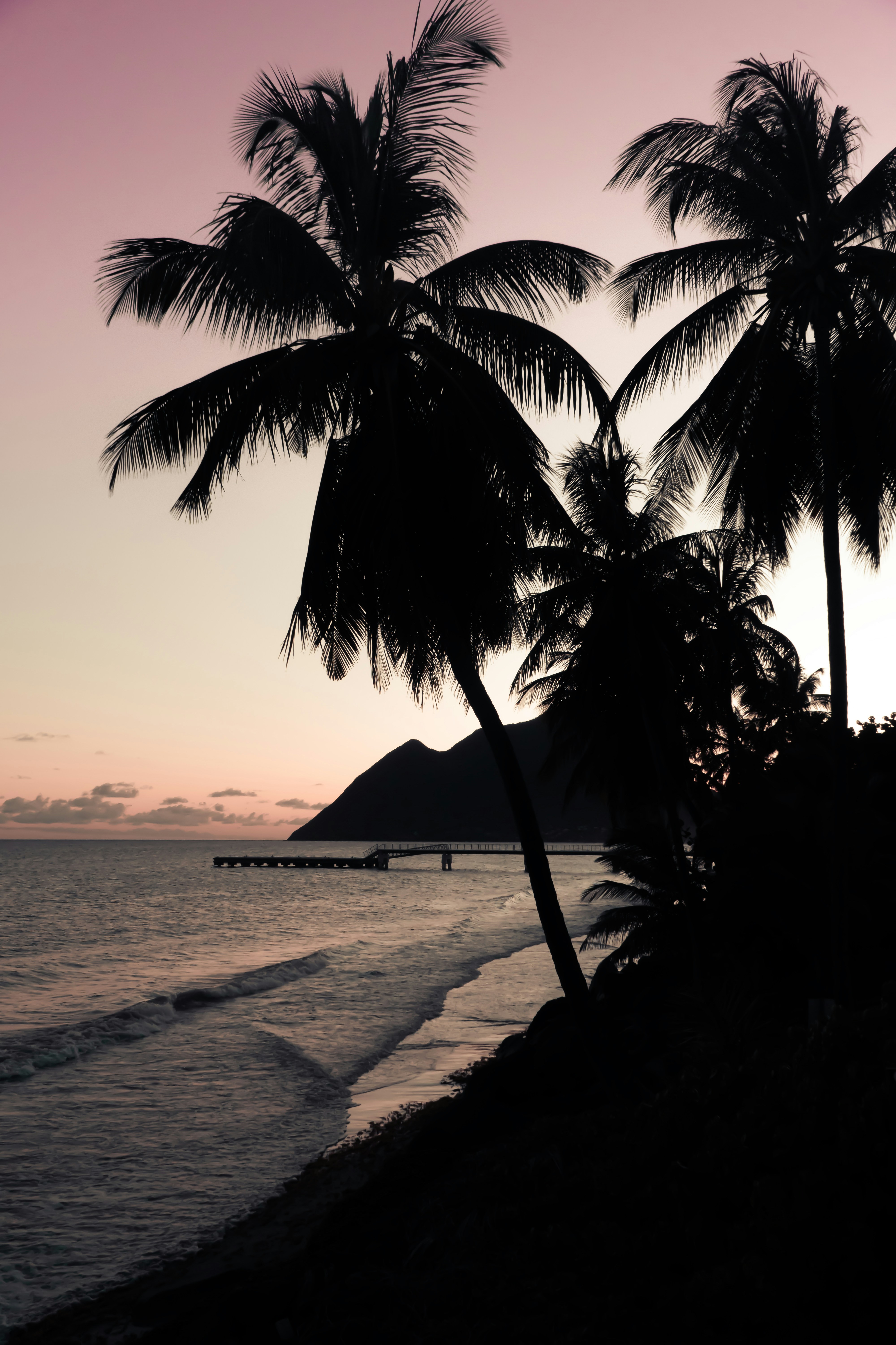 Quels souvenirs rapporter de Martinique ?