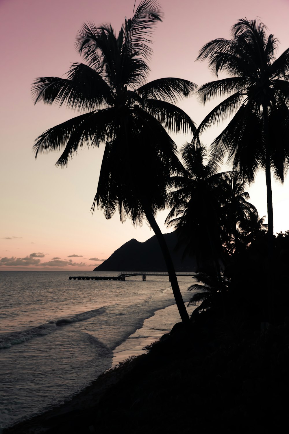 a couple of palm trees sitting on top of a beach