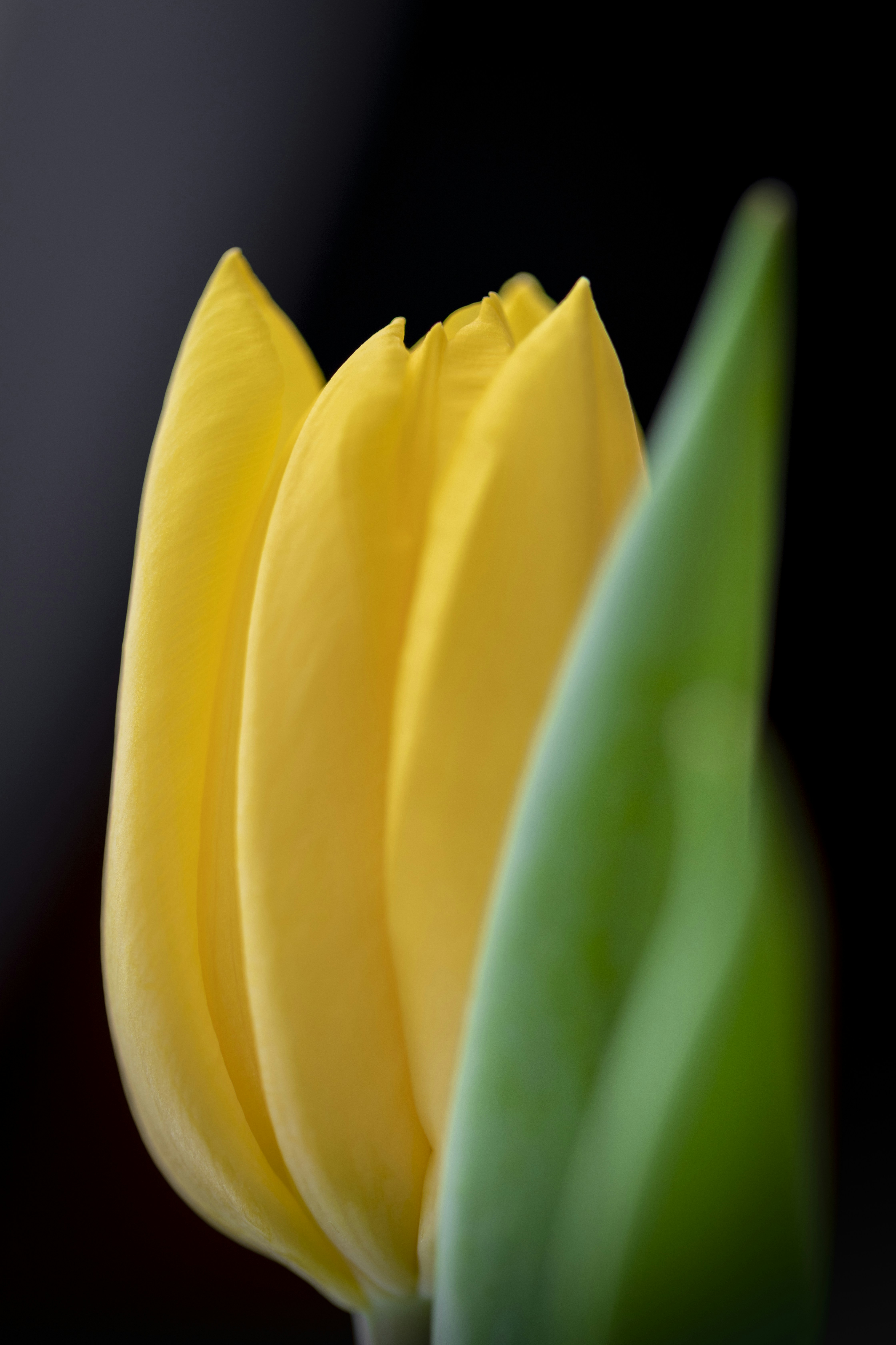 Photo by ovidiugruescu